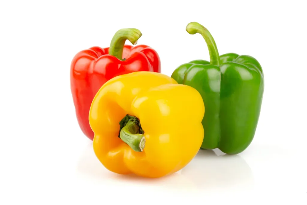 PUNJAB CAPSICUM