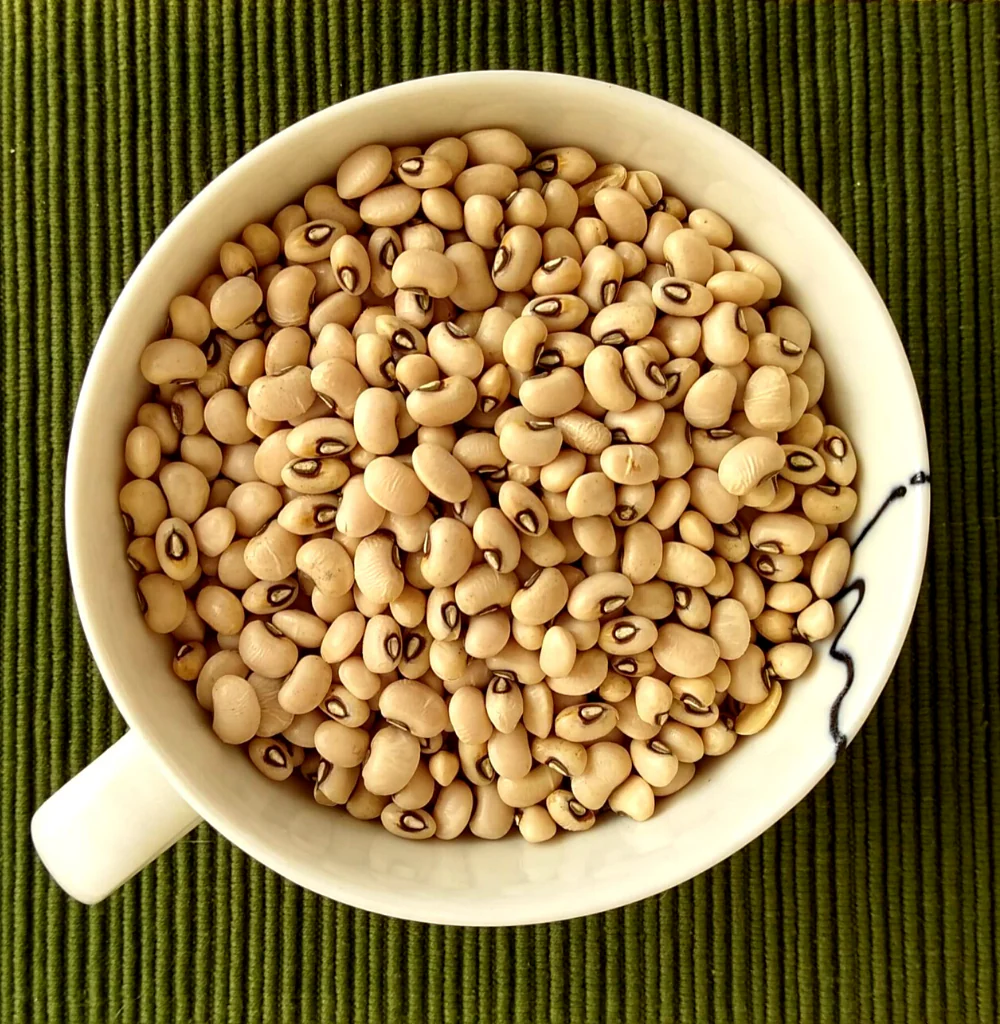 PUNJAB COWPEA