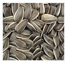 PUNJAB SUNFLOWER SEEDS