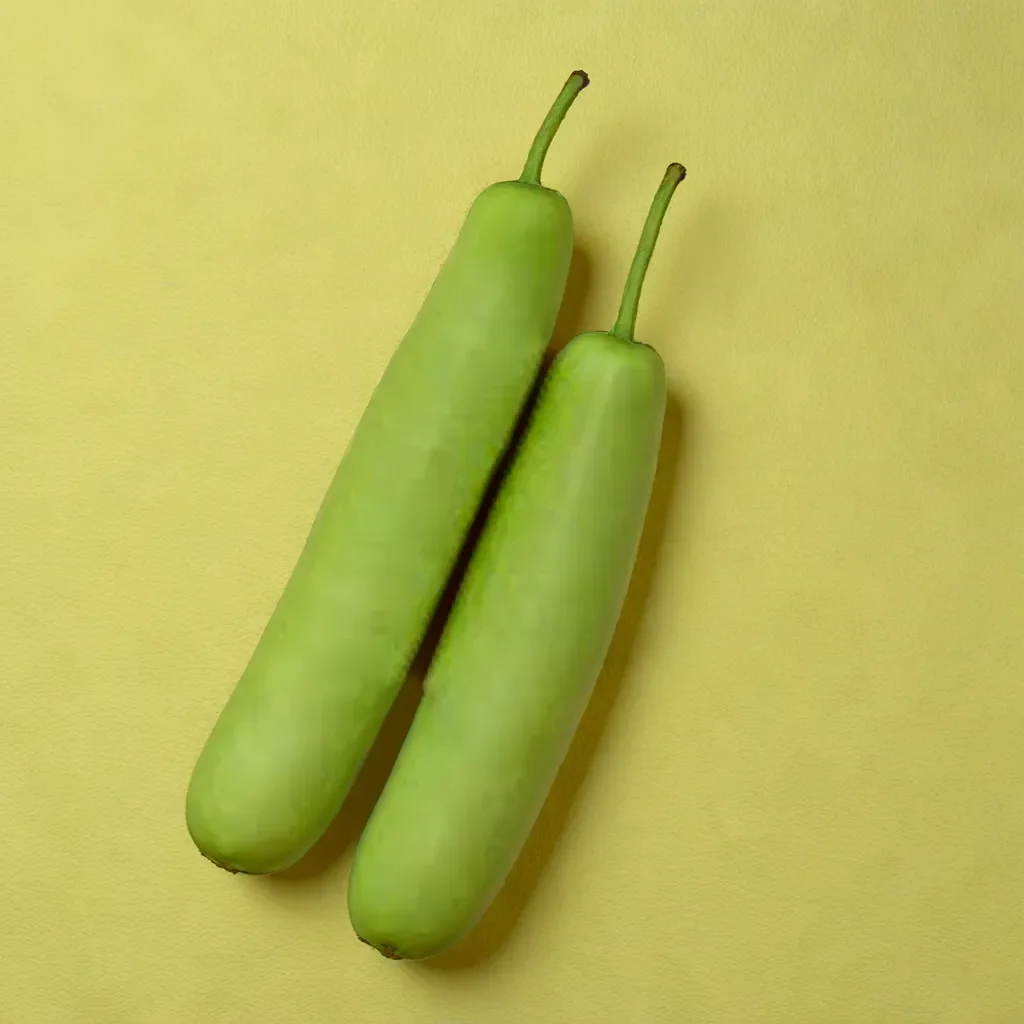UK BOTTLE GOURD