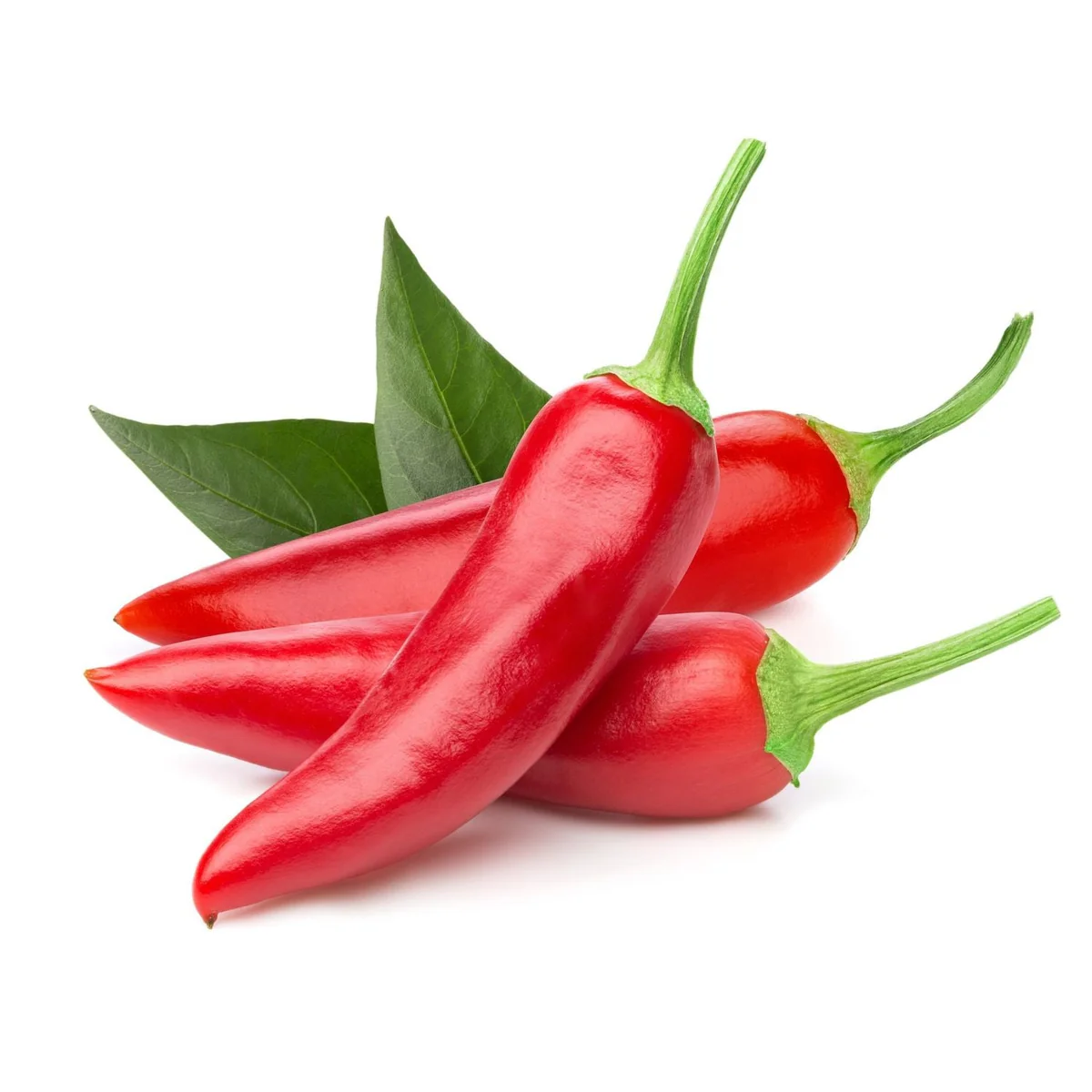 UK CHILLI