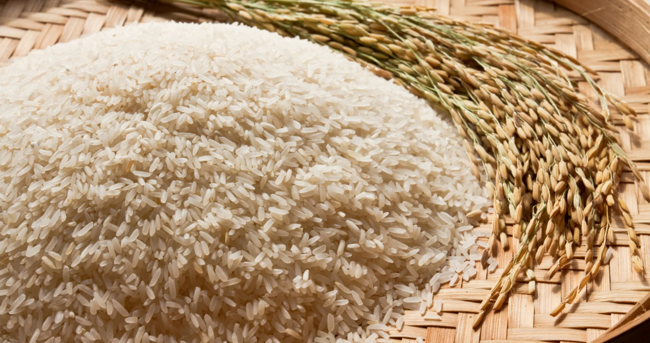 UK RICE