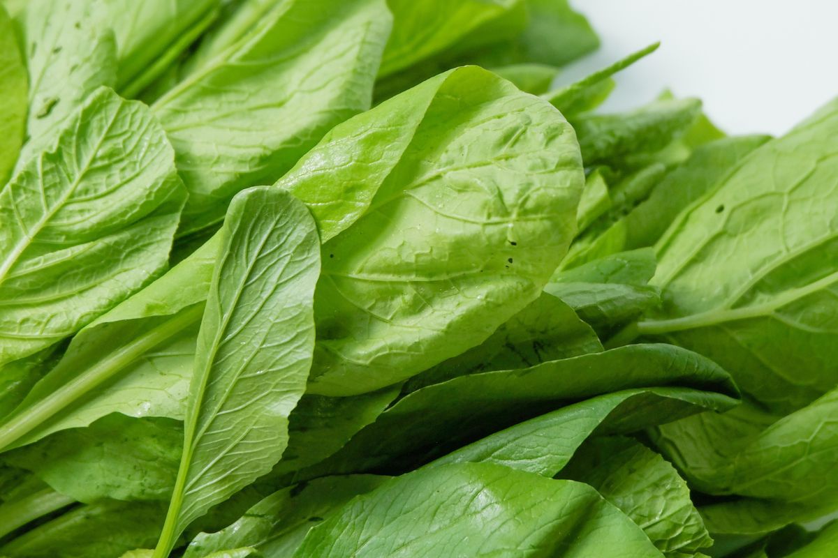 UK SPINACH