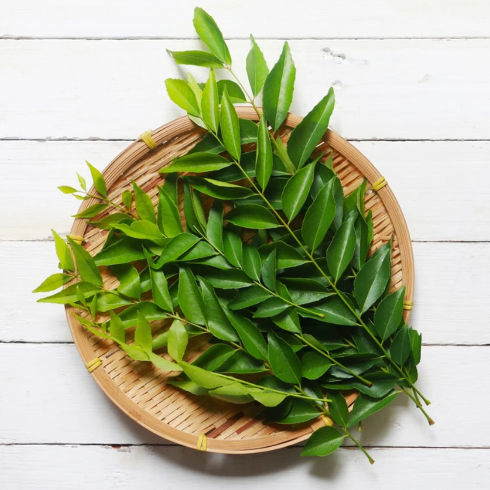 CURRY LEAVES