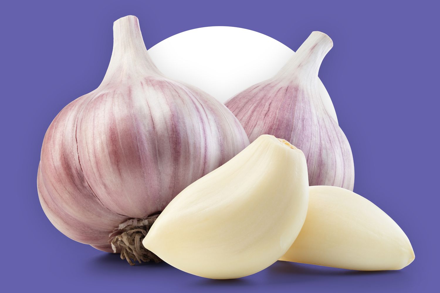 GARLIC