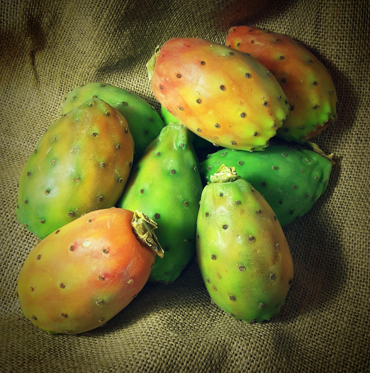 prickly pear, cactus fruit, fruit, prickly pear, prickly pear, prickly pear, prickly pear, prickly pear