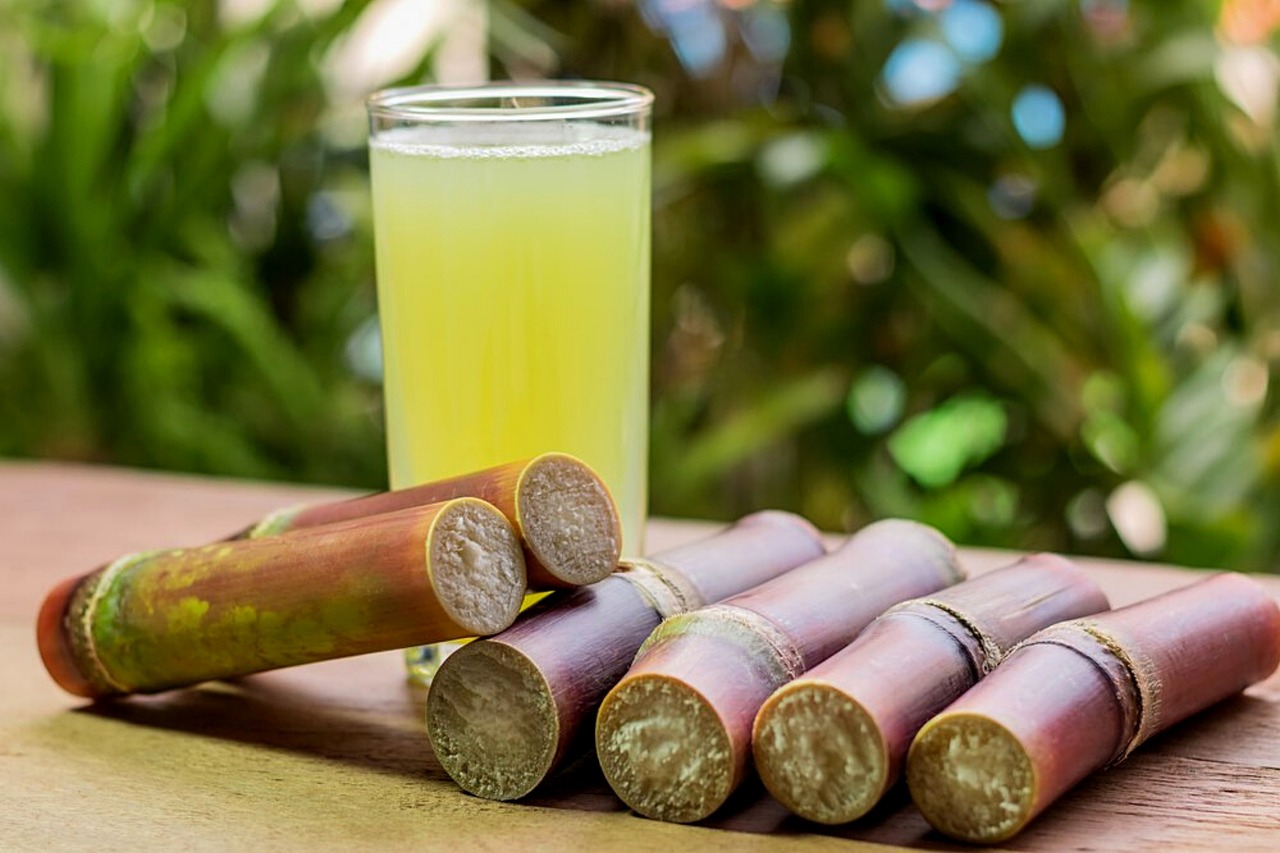 sugarcane, sugarcane juice, natural, healthy, juice, sweet, crop, sugar, sucrose, perennial, sugarcane, sugarcane, sugarcane, sugarcane, sugarcane, sugarcane juice, sugarcane juice
