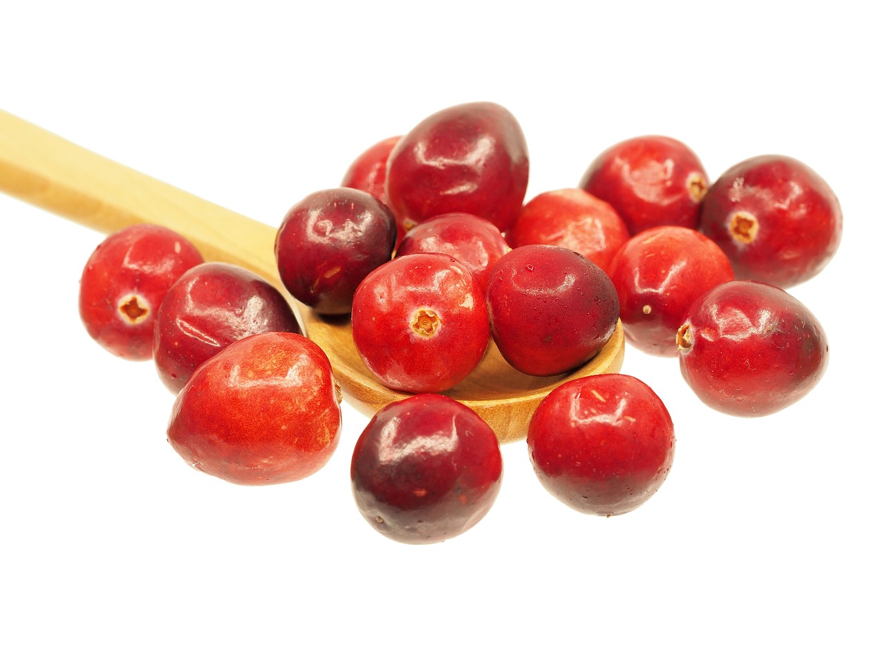 cranberry, spoon, fruit, sour, red, nature, delicious, health, wooden spoon, white background, cranberry, cranberry, cranberry, cranberry, cranberry