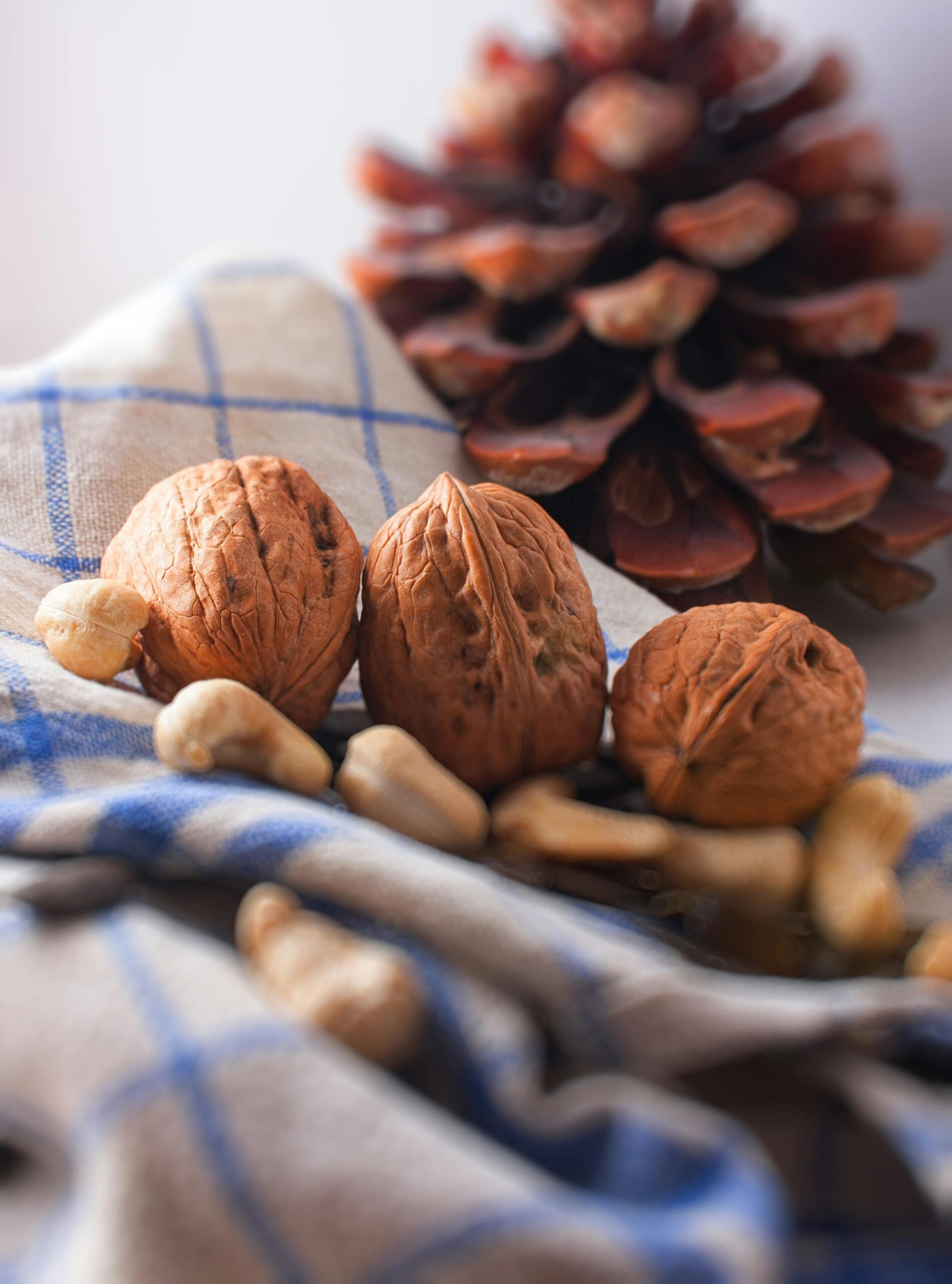 A close-up of walnuts and cashews on a checkered cloth with a pine cone.