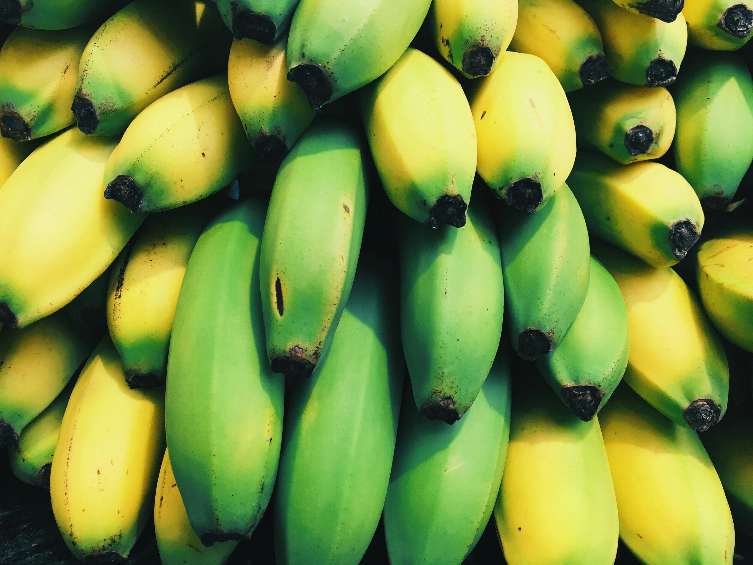 A vibrant display of fresh ripe and unripe bananas stacked in natural light.