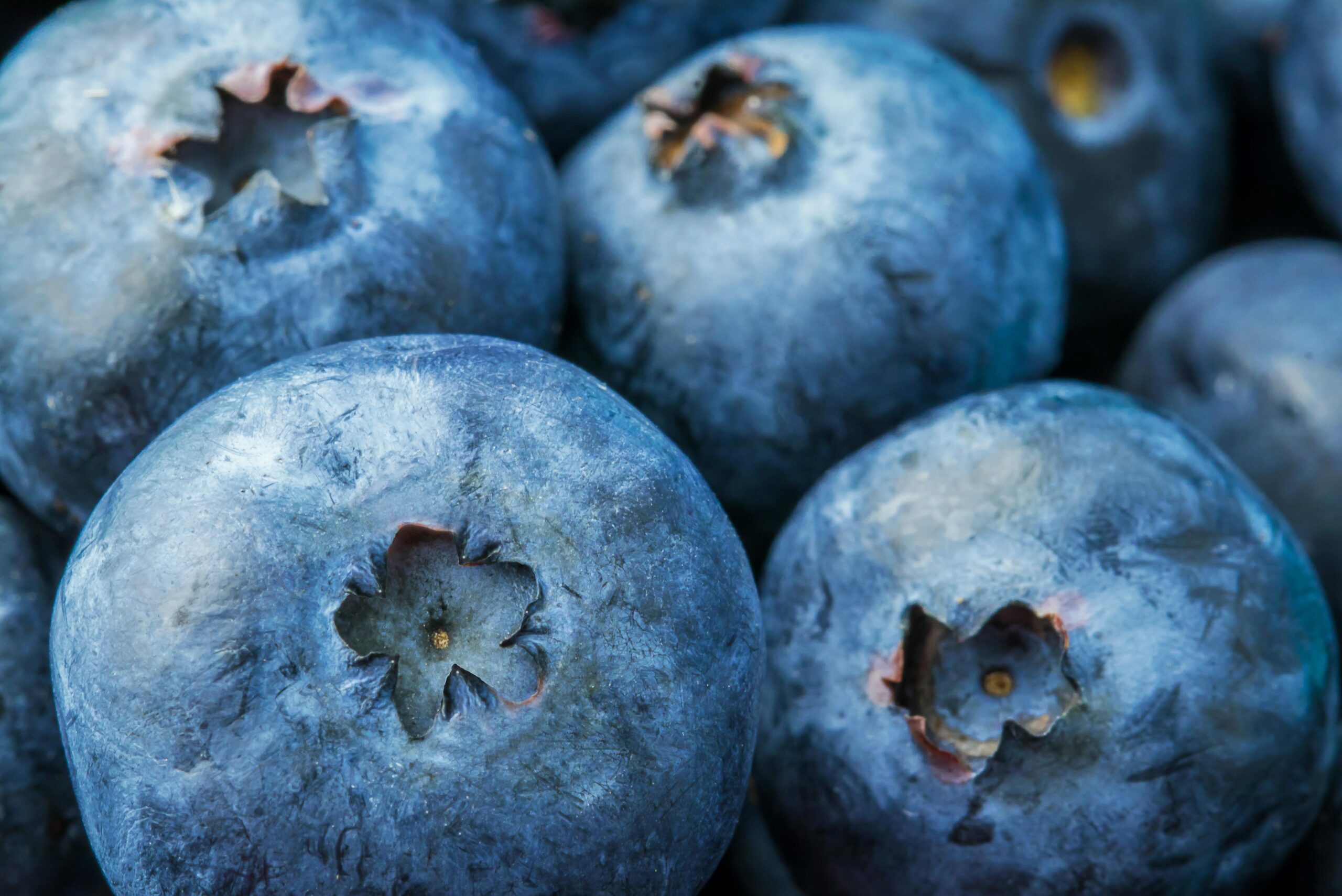 Detailed macro image of fresh blueberries with juicy texture and vibrant color.