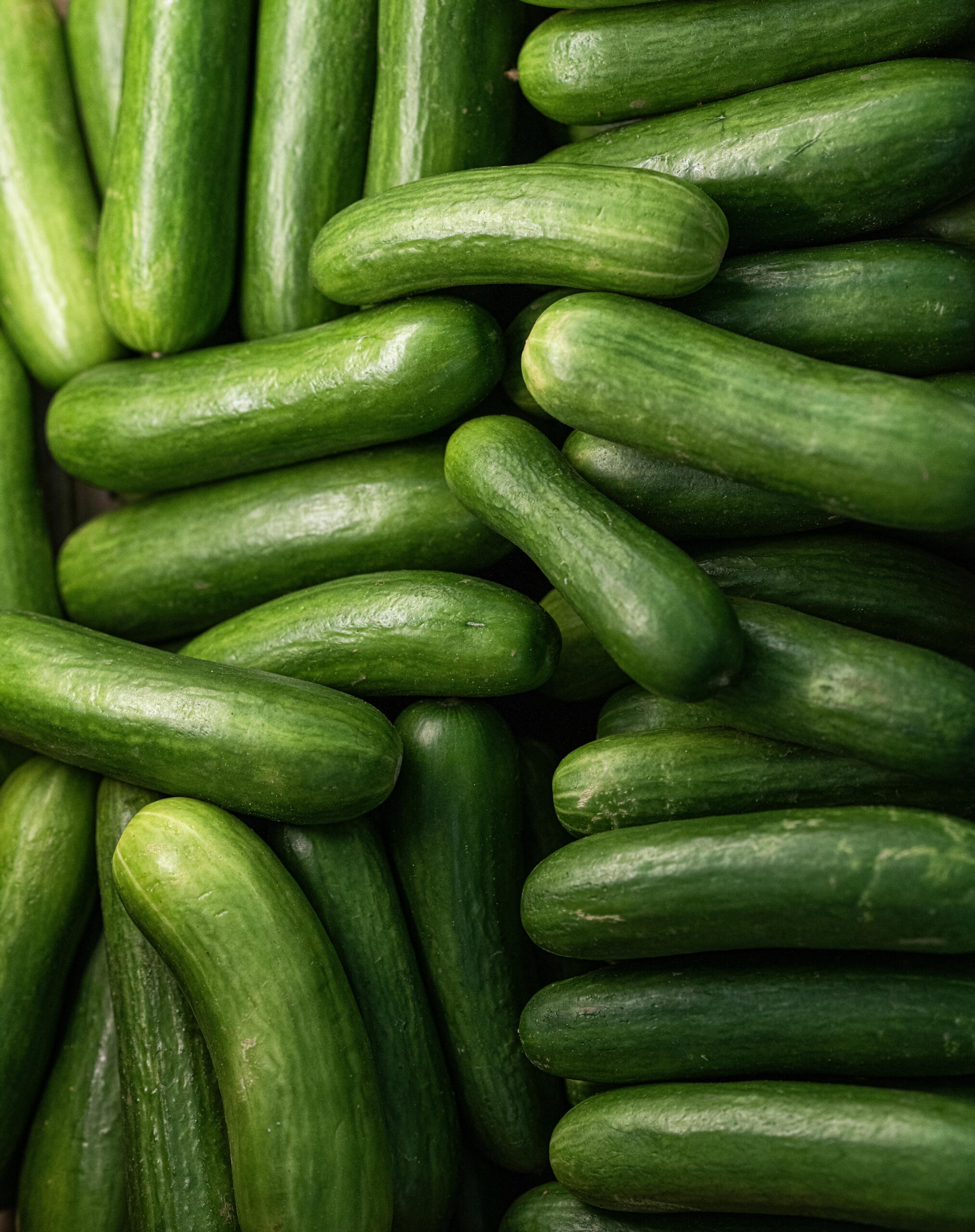 Close-up of fresh organic cucumbers showcasing vibrant greens, ideal for healthy eating.