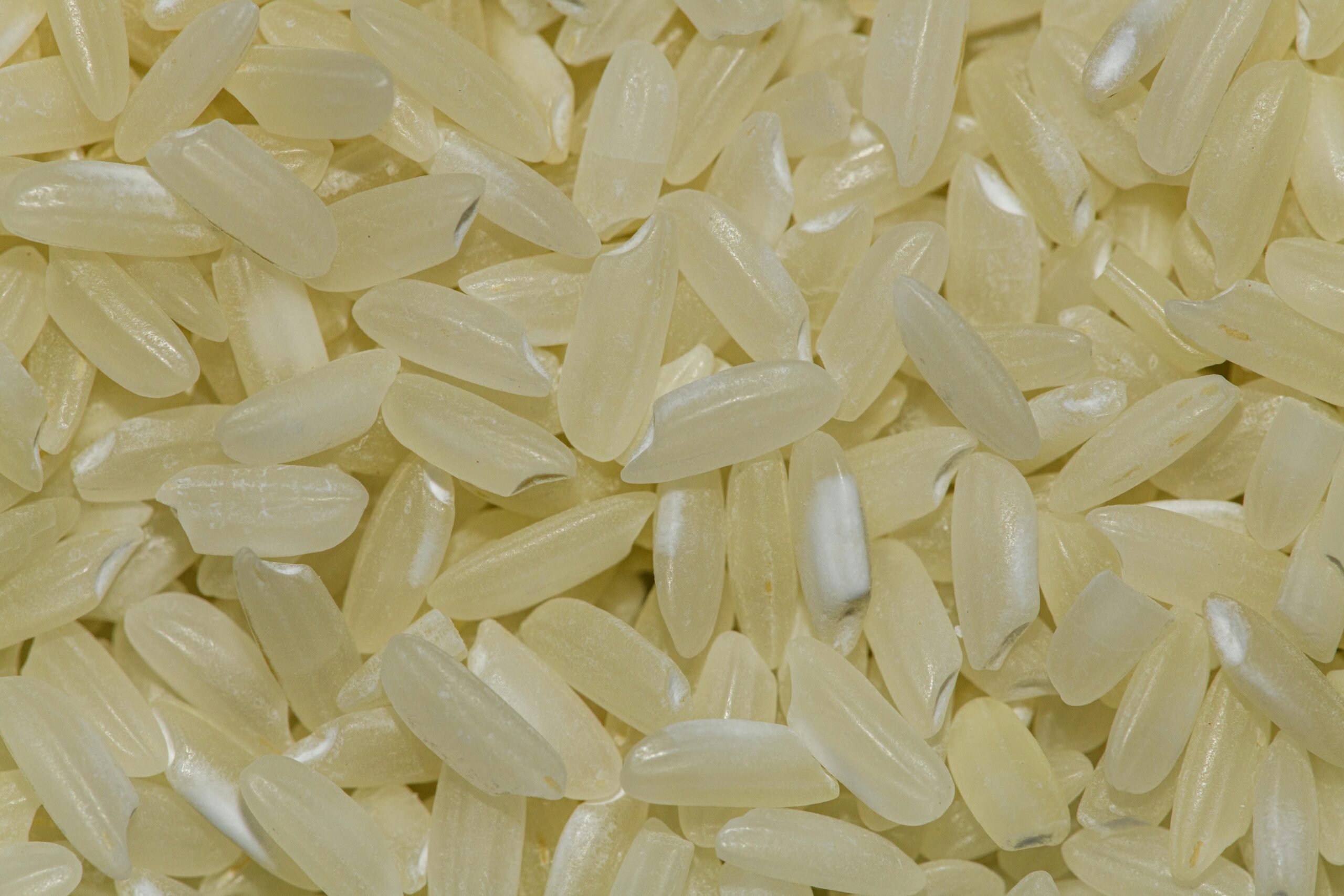 Detailed macro shot of uncooked rice grains, perfect for food and grain photography.