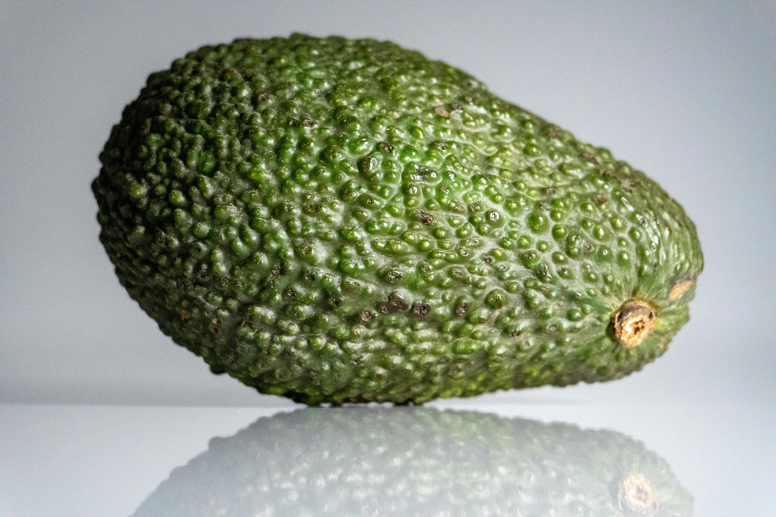 A detailed close-up image of a ripe green avocado resting on a reflective surface.